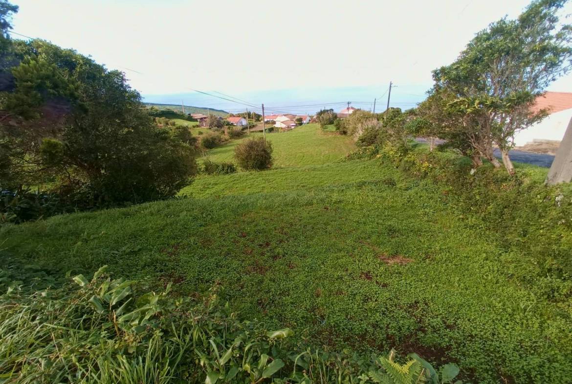 buildable plot view faial