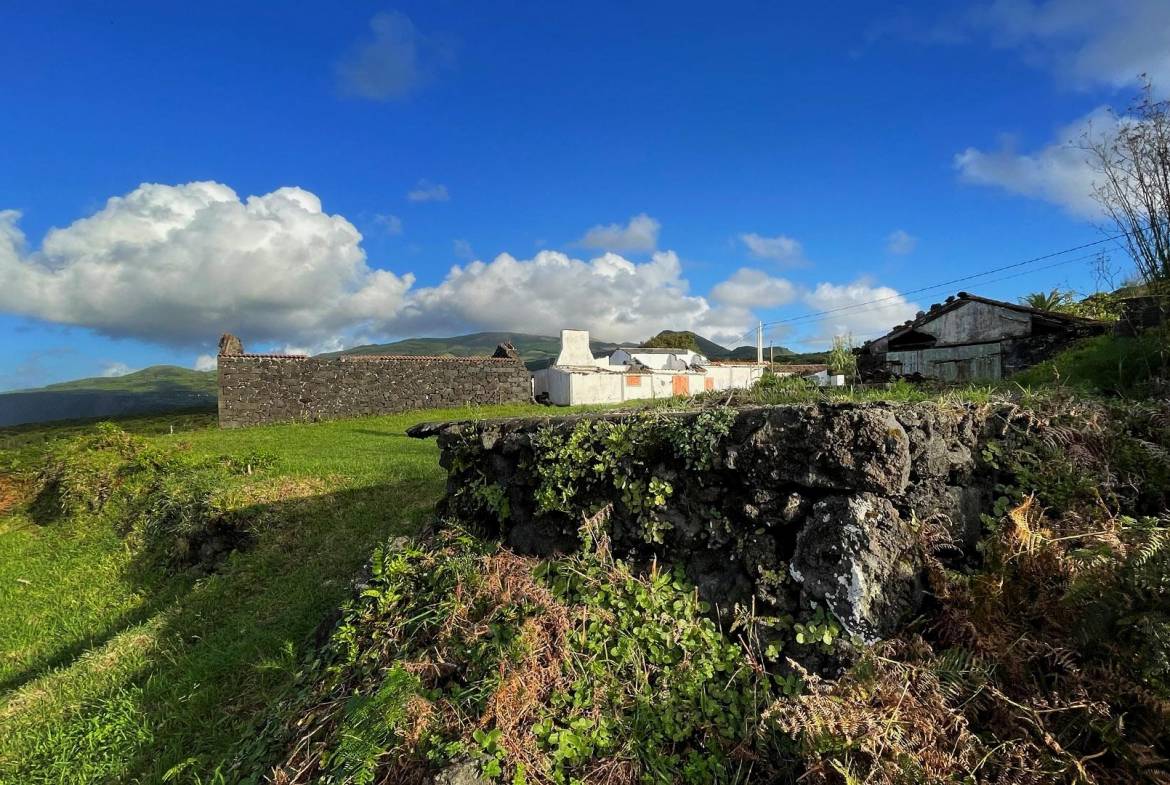 natural paradise ocean faial