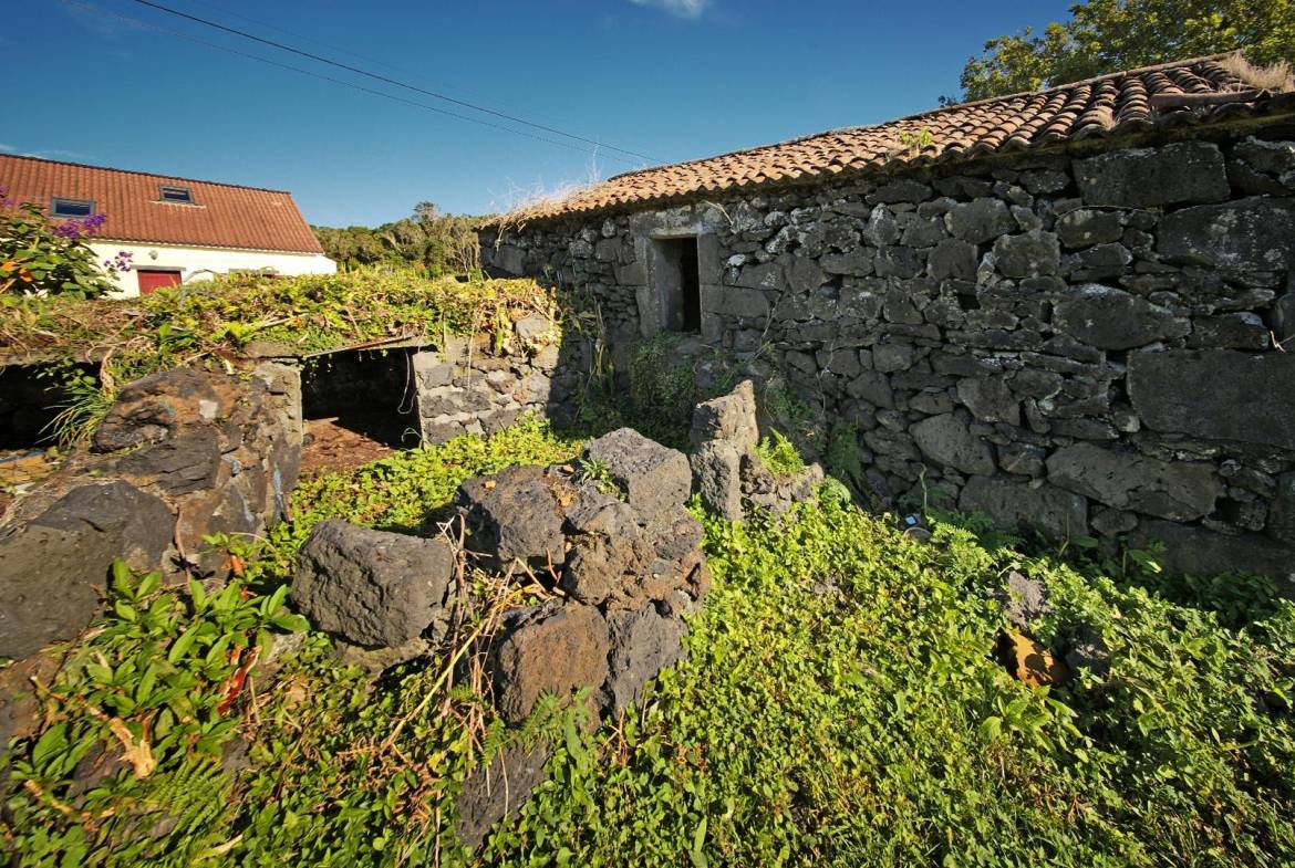 natural paradise ocean faial