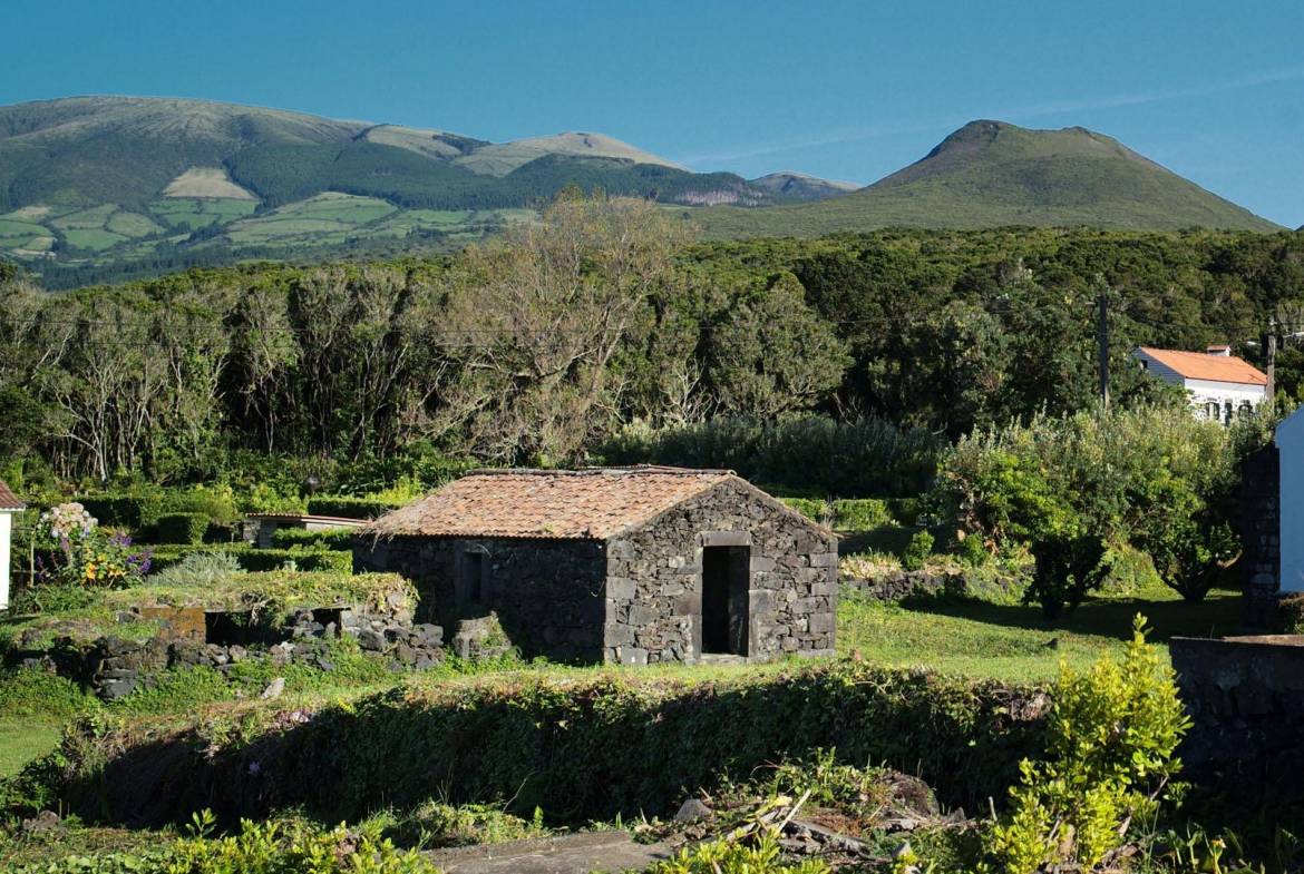 natural paradise ocean faial