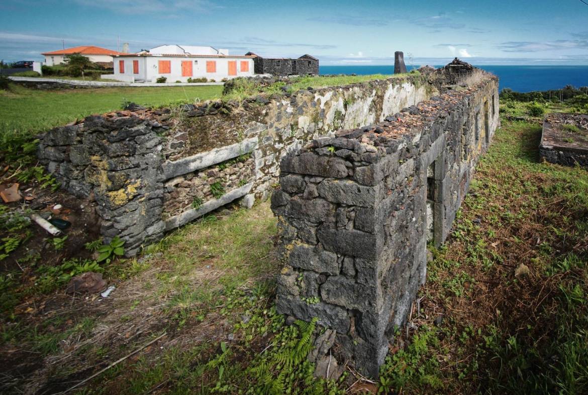 natural paradise ocean faial