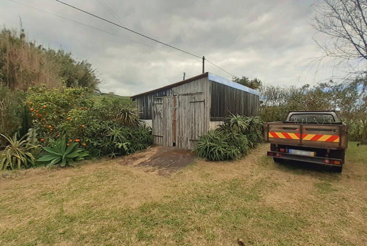 house tropical garden views