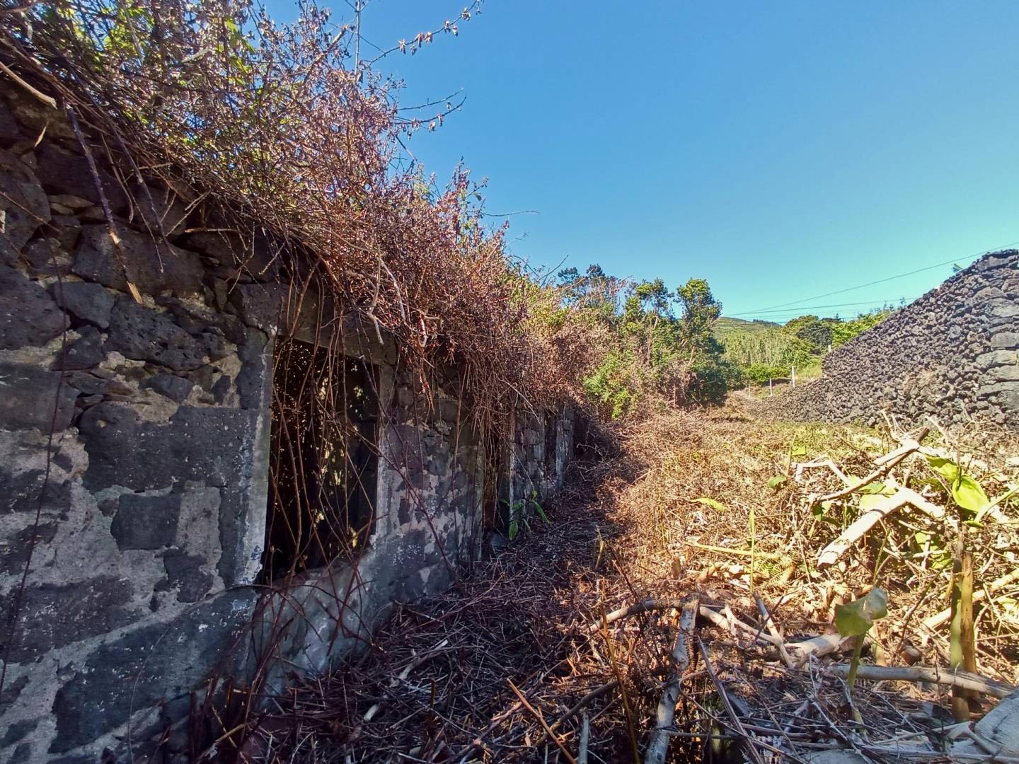 land ruin peaceful faial