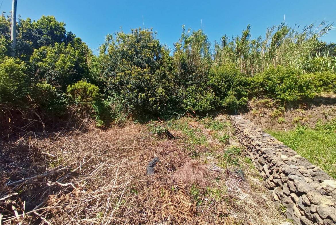 land ruin peaceful faial