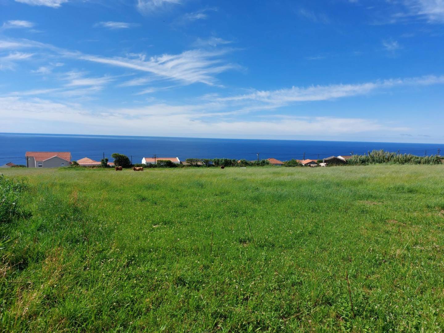 land views faial island