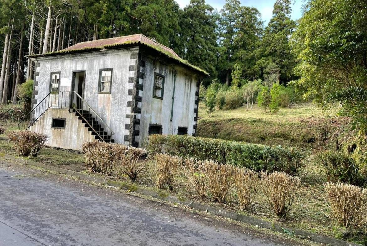 offgrid house forest Faial