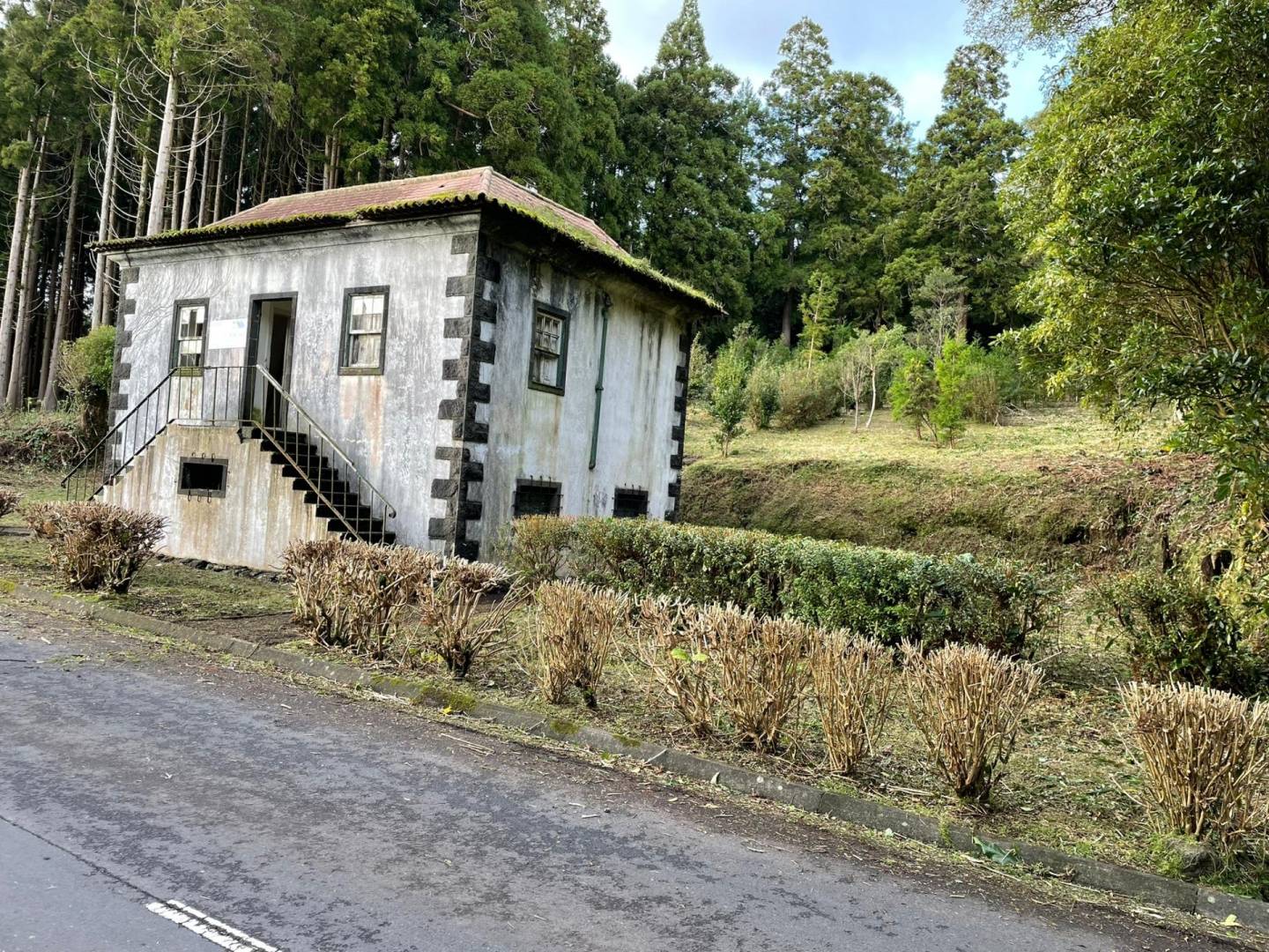 offgrid house forest Faial