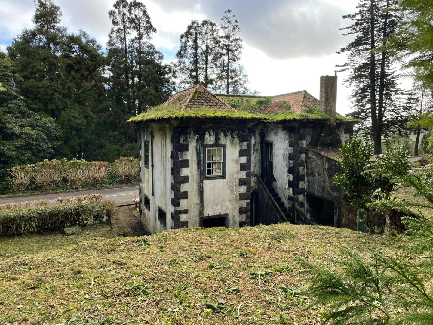 offgrid house forest Faial