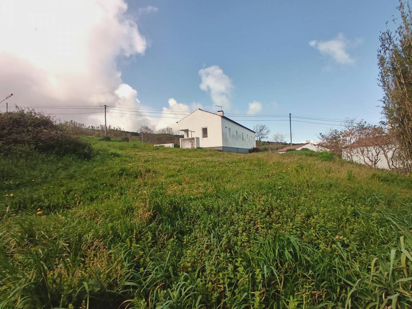 house views rural island