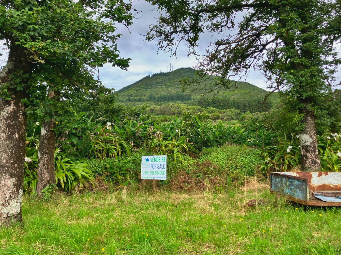 flat land south coast