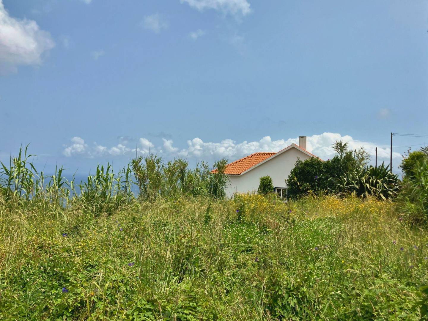 house land views faial