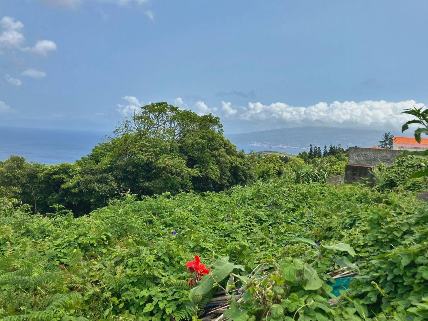 house land views faial