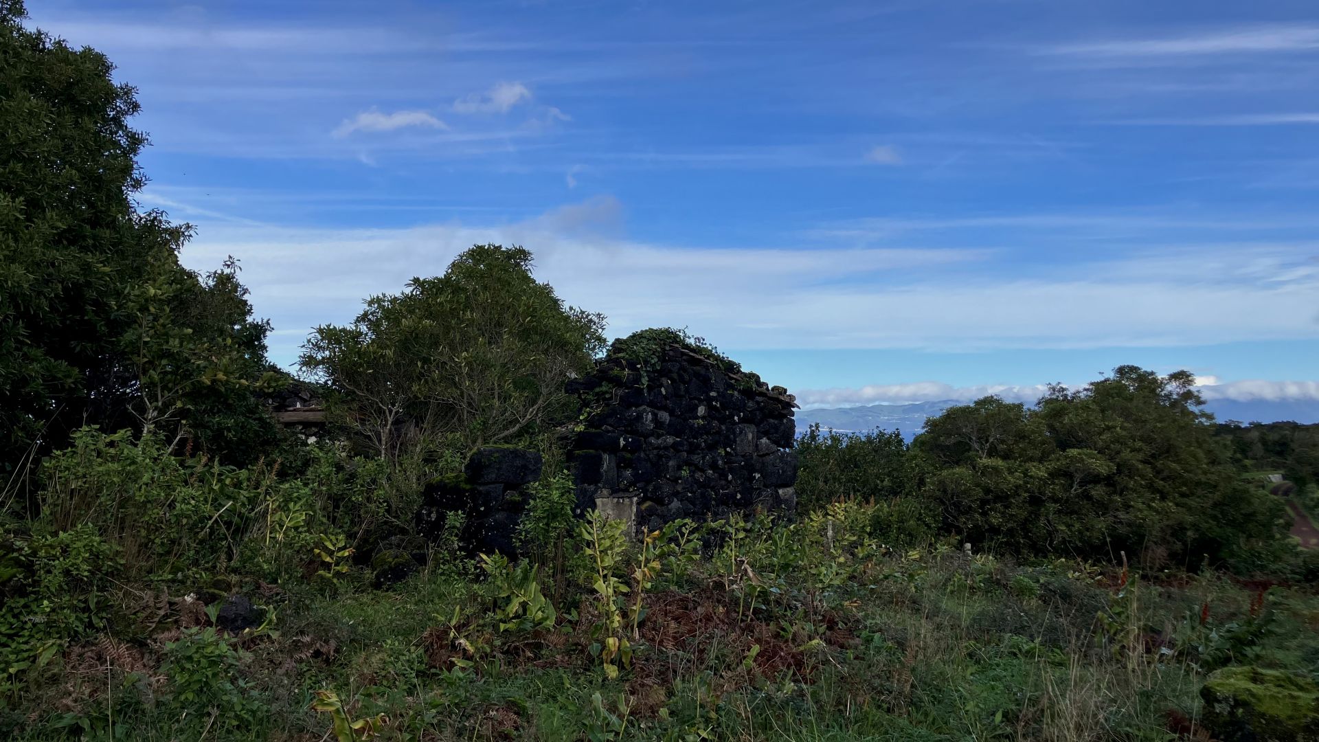 land forest ruin rebuilding