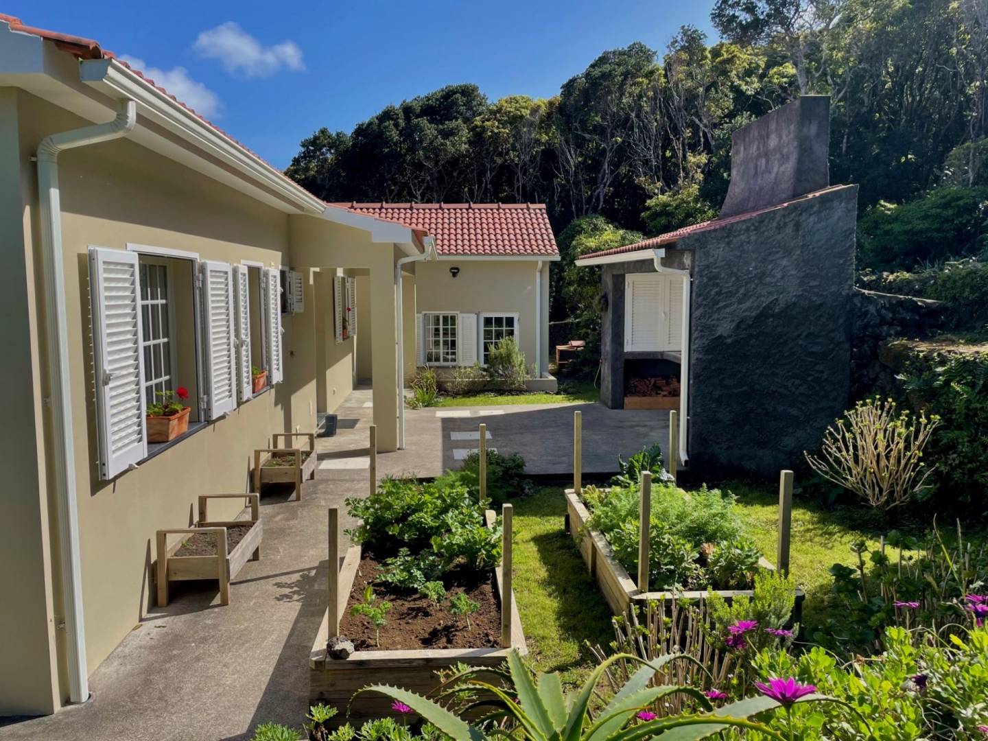 house privacy nature faial